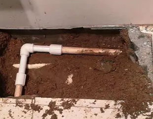 四子王旗测漏水哪家好