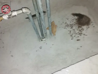 四子王旗卫生间测漏水价格明细