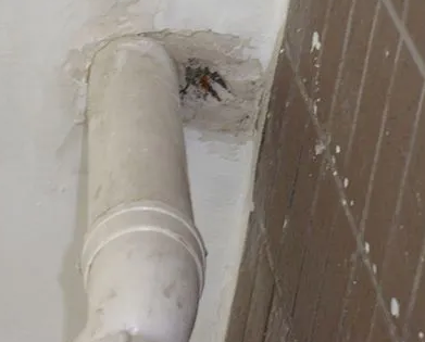 四子王旗漏水检测哪家好